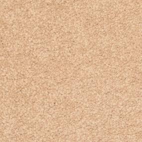 Casual Texture Dusty Trail Beige/Tan Carpet
