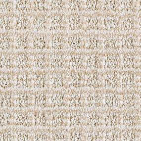 Pattern Atrium Beige/Tan Carpet