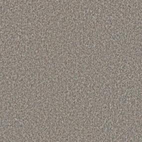 Textured Saxony Great Impression Brown Carpet