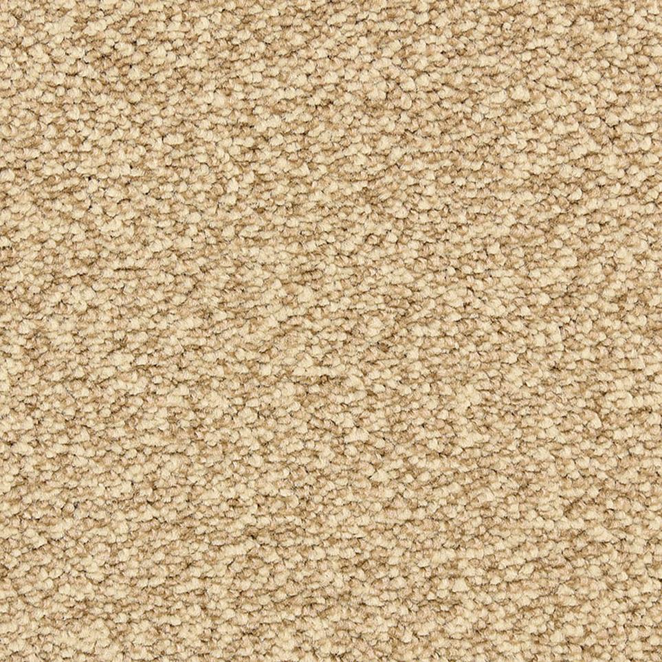 Texture Brazilia Beige/Tan Carpet