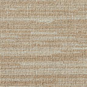 Pattern Sandollar Beige/Tan Carpet