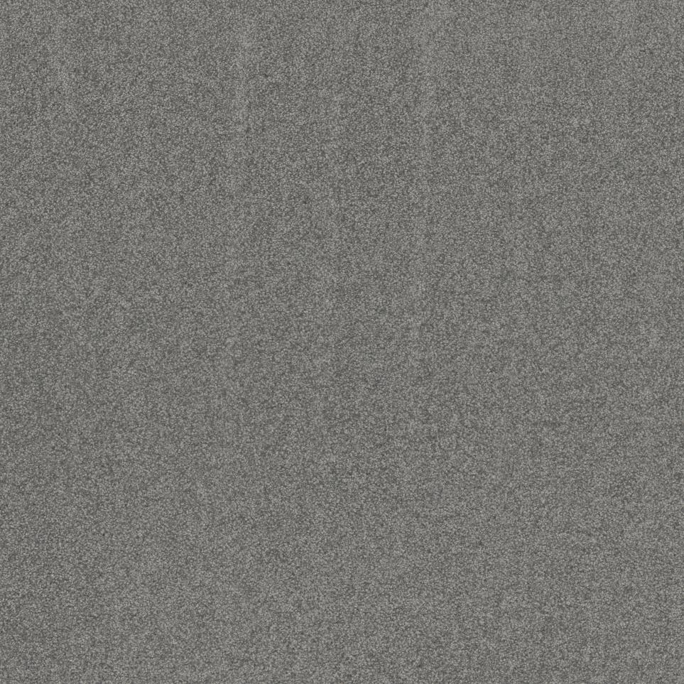 Texture Dolphin Fin Gray Carpet