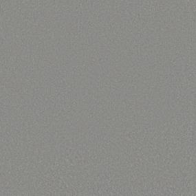 Textured Saxony Cityscape Gray Carpet