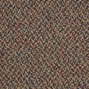 Loop Sawgrass Court Beige/Tan Carpet