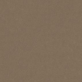 Cut Pile Scone Gray Carpet