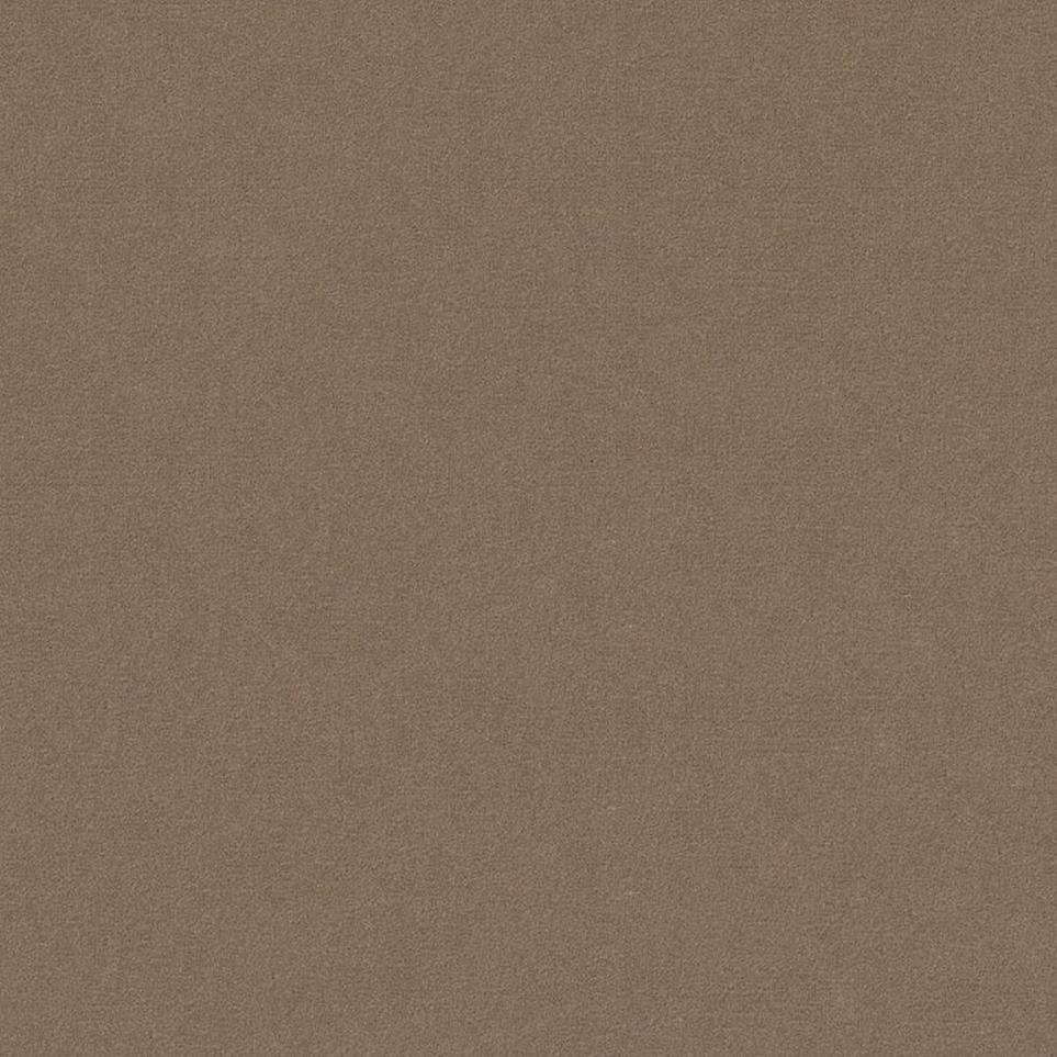 Cut Pile Scone Gray Carpet