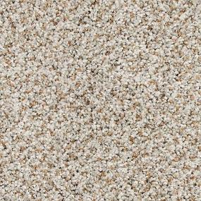 Textured Saxony Pristine Brown Carpet