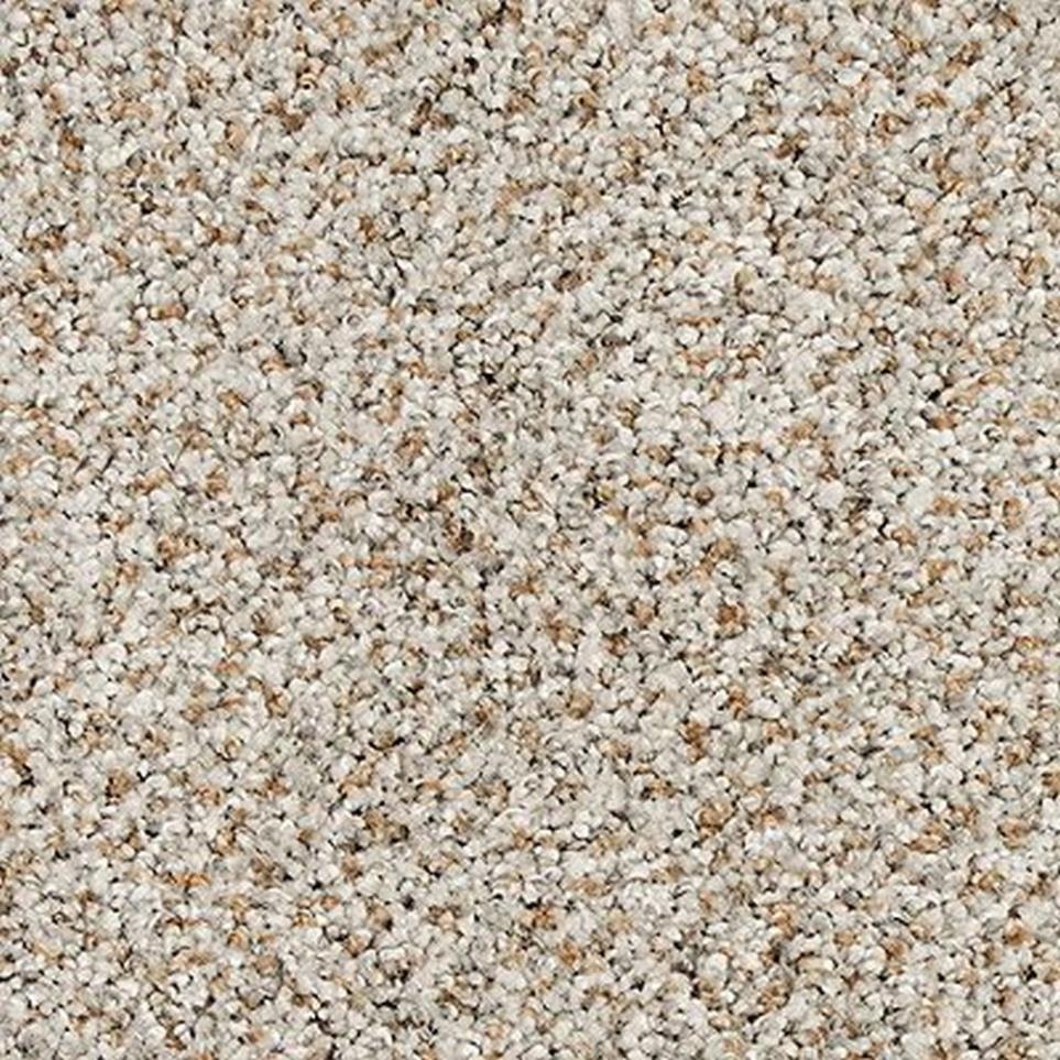 Textured Saxony Pristine Brown Carpet