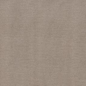 Pattern Tawny Beige/Tan Carpet