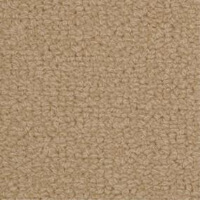 Loop Hannah Beige/Tan Carpet