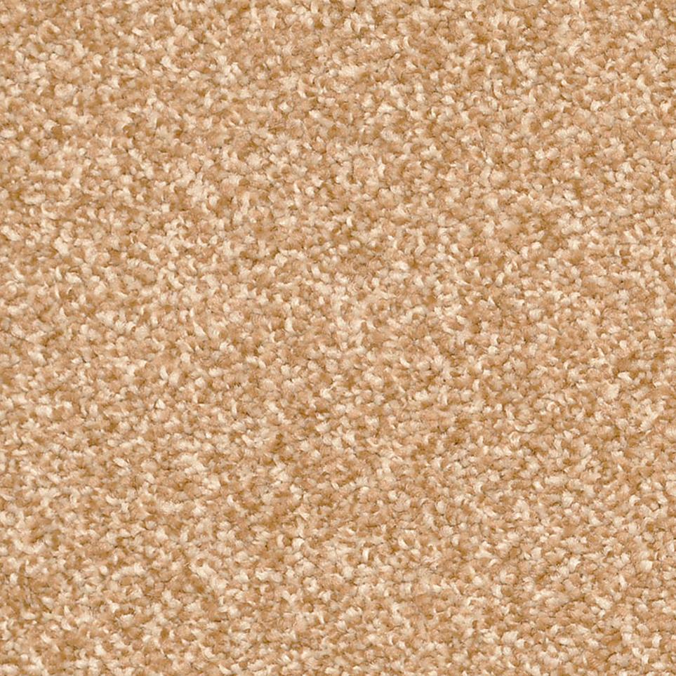 Frieze Etching Beige/Tan Carpet