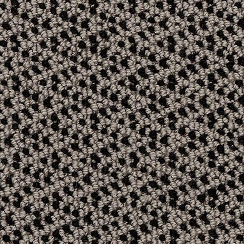 Loop Modeled Stone Black Carpet