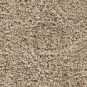 Textured Saxony Magnolia Brown Carpet