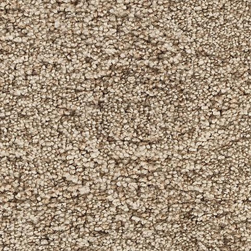 Textured Saxony Magnolia Brown Carpet