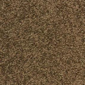 Casual Texture Balcony Brown Carpet