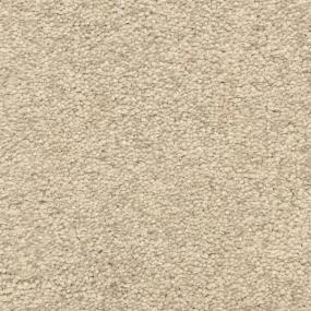 Casual Texture Plateau Beige/Tan Carpet