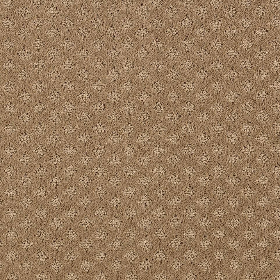 Pattern Graceful Beige/Tan Carpet