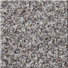 Texture Cement Gray Carpet