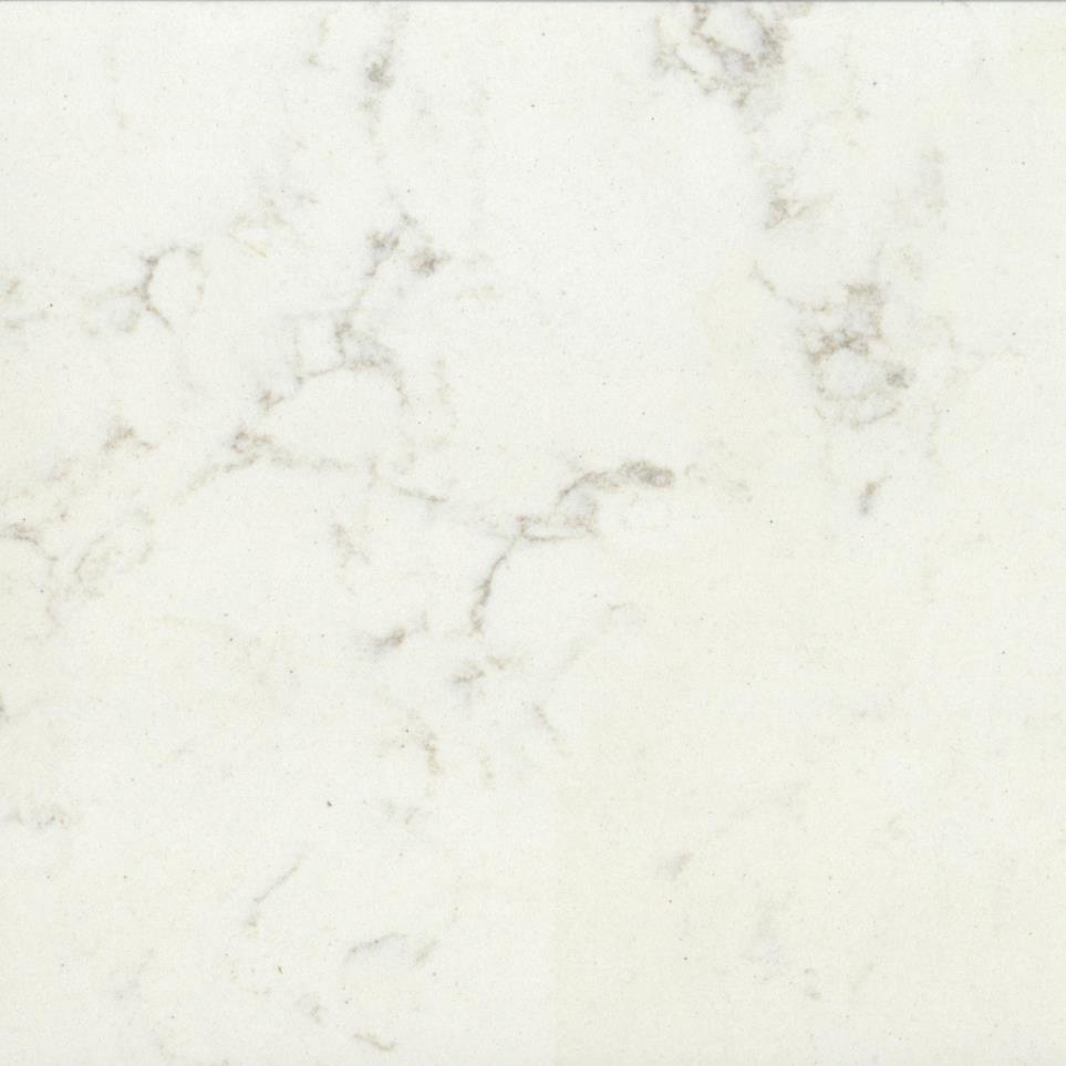 Slab Ariel White Quartz Countertops