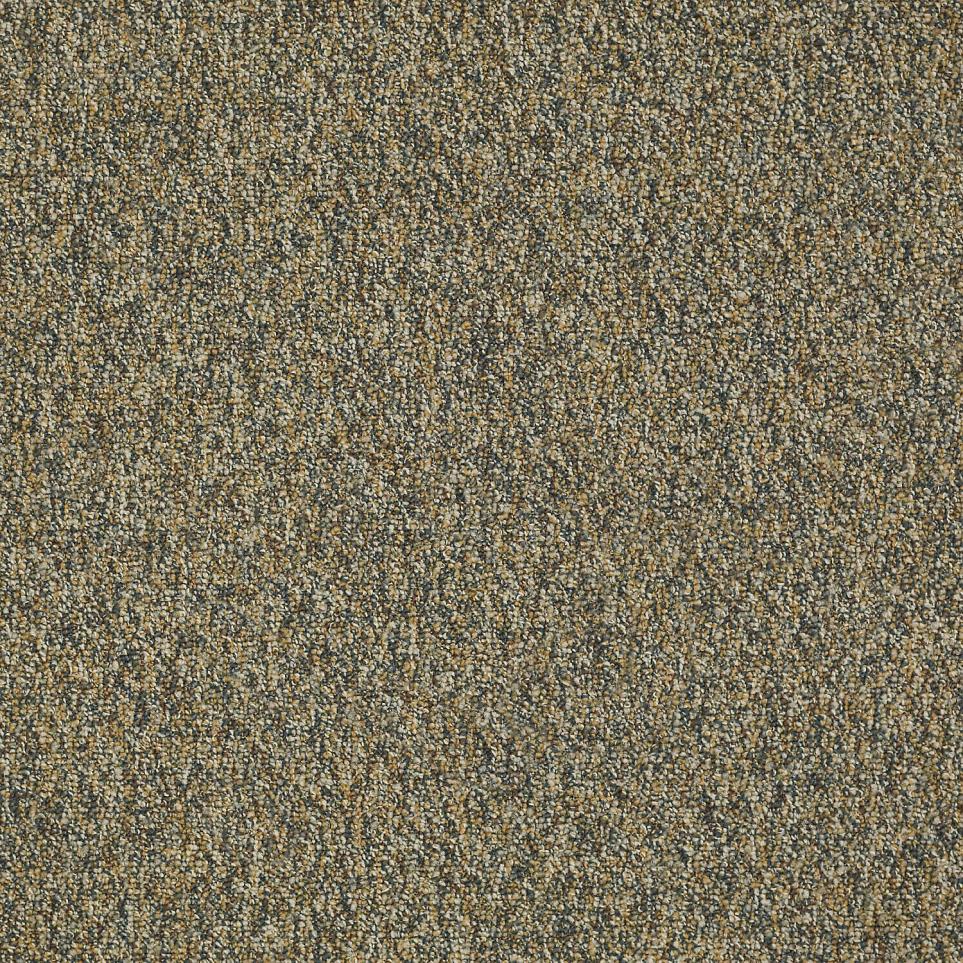 Loop Raisin Bread Beige/Tan Carpet