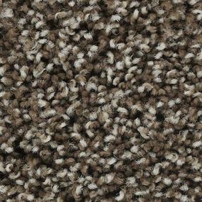 Textured Saxony Hearthstone Brown Carpet