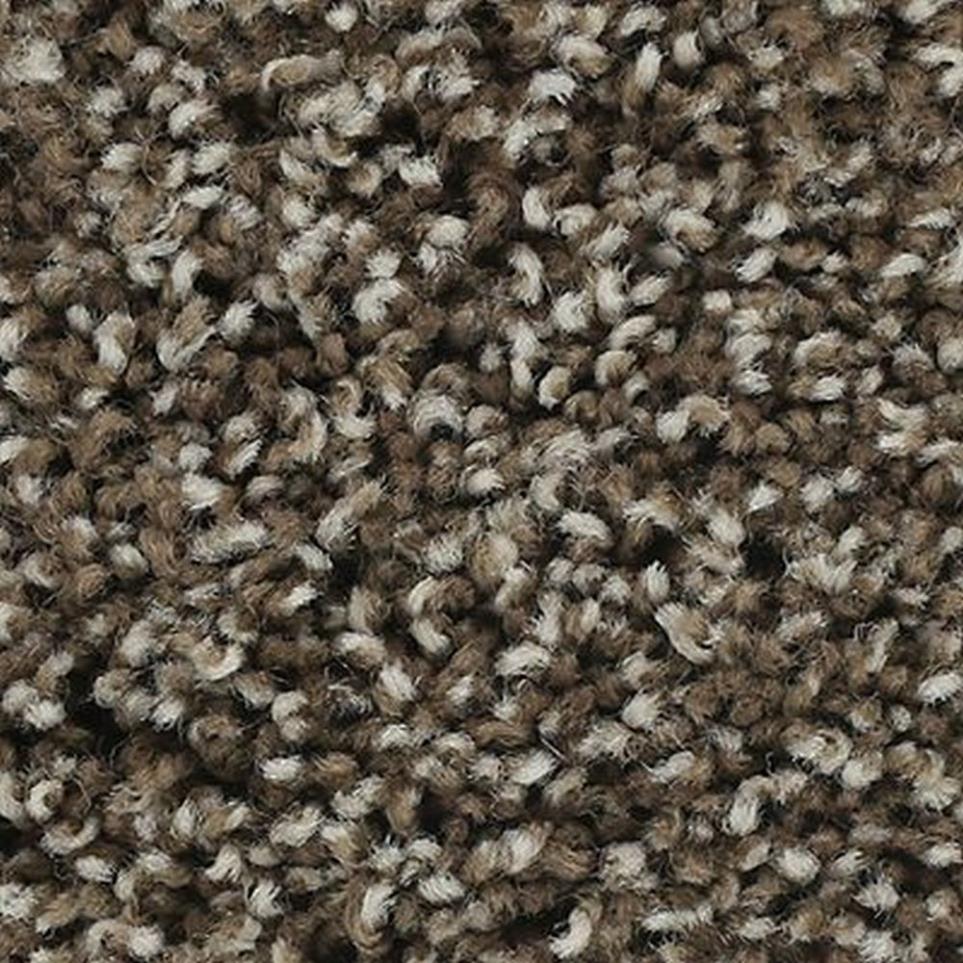 Textured Saxony Hearthstone Brown Carpet