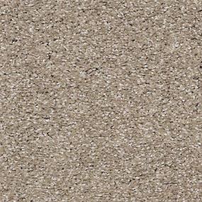 Textured Saxony Windsong Beige/Tan Carpet