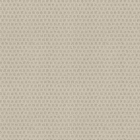 Pattern Angel Falls Beige/Tan Carpet