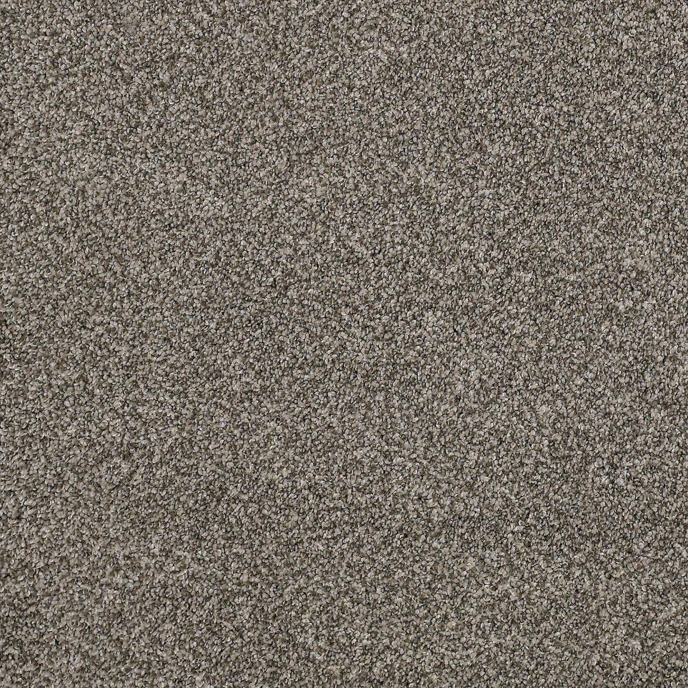Texture Stonepath Brown Carpet