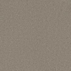 Textured Saxony Far Away Beige/Tan Carpet