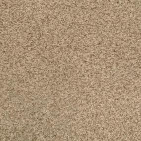 Casual Texture Marshland Beige/Tan Carpet