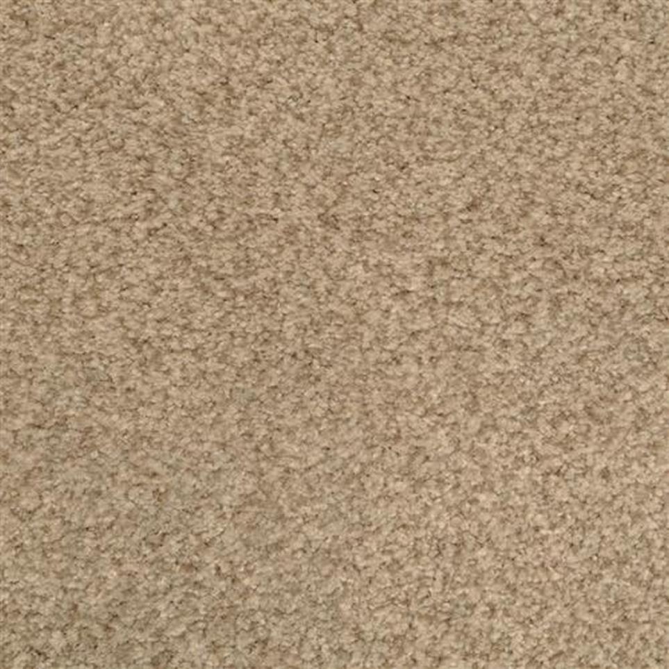 Casual Texture Marshland Beige/Tan Carpet