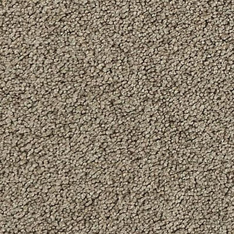 Textured Saxony Talbot Brown Carpet