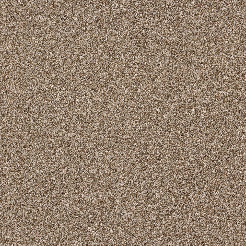 Texture Cabana Brown Carpet