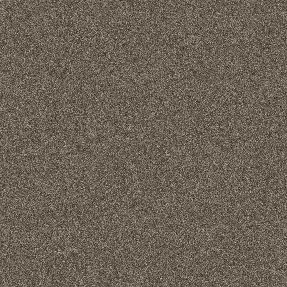 Texture Brownie Batter Brown Carpet