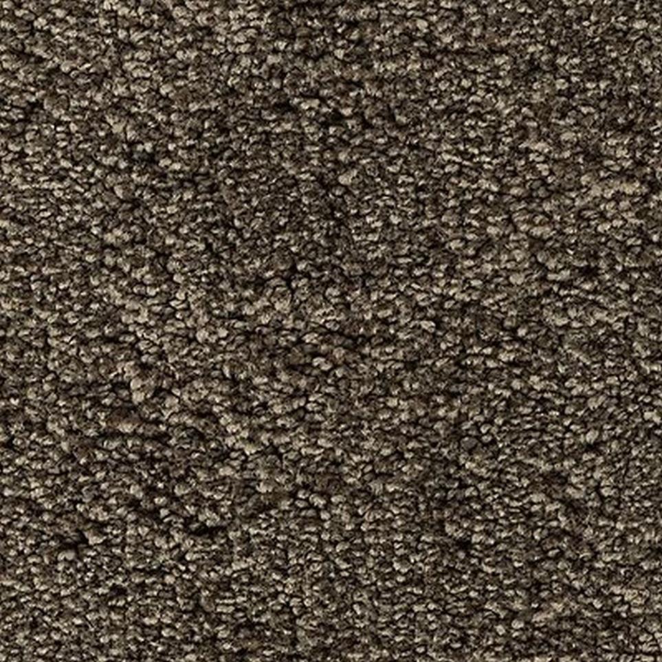 Textured Saxony Cathedral Gray Carpet