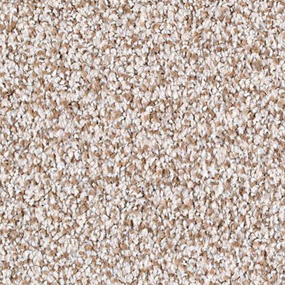 Textured Saxony Utopia Brown Carpet