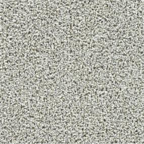 Textured Saxony Monumental Gray Carpet