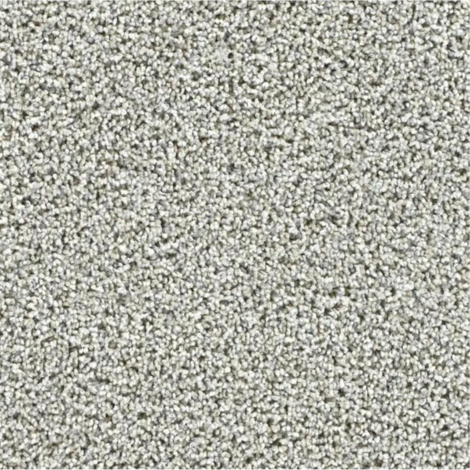 Textured Saxony Monumental Gray Carpet