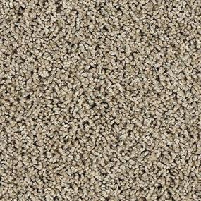 Textured Saxony Haven Beige/Tan Carpet