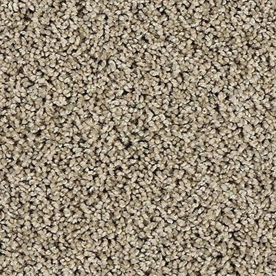 Textured Saxony Haven Beige/Tan Carpet