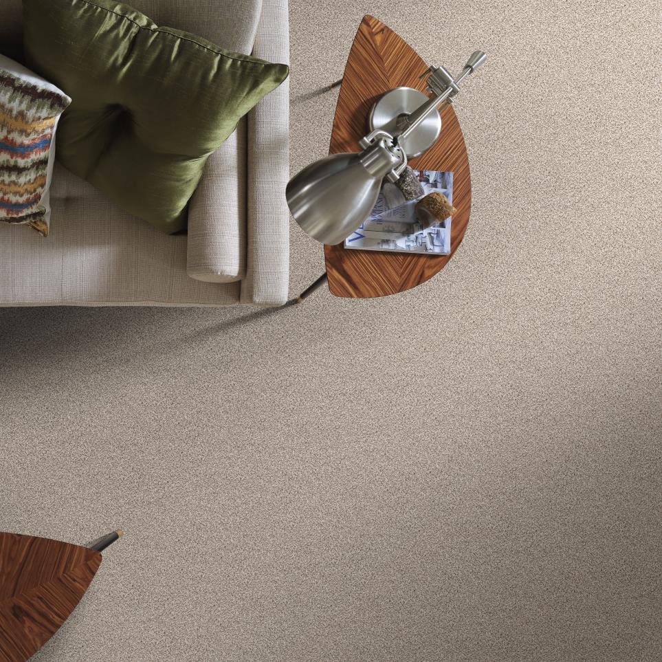 Texture Falling Ash Beige/Tan Carpet