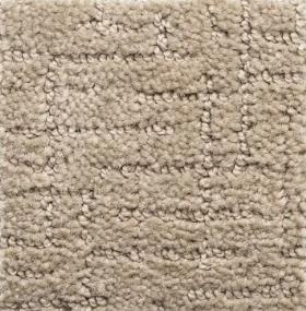 Pattern Suede Beige/Tan Carpet