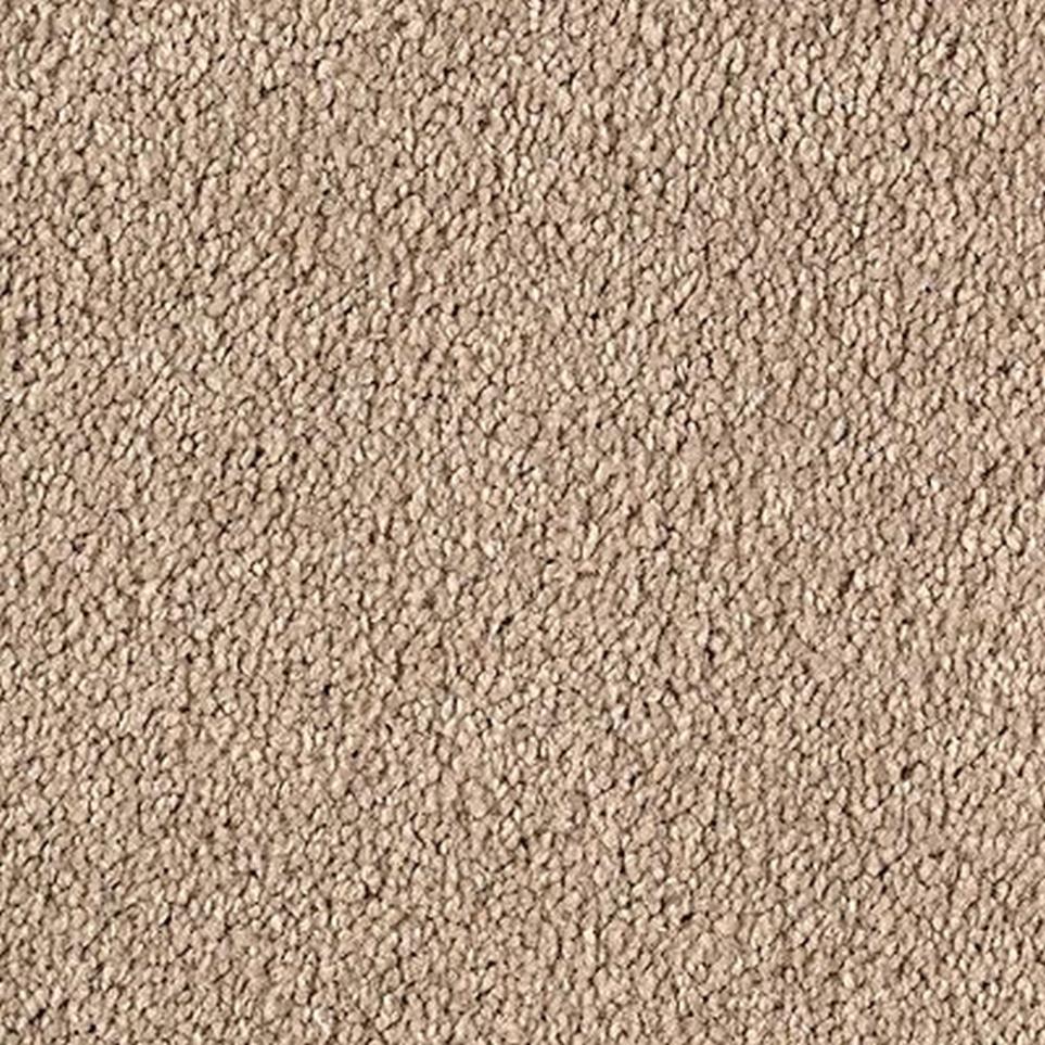 Textured Saxony Palisade Brown Carpet