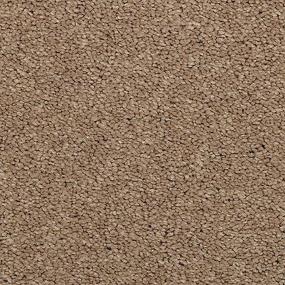 Textured Saxony Cafe Brown Carpet