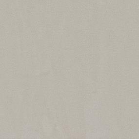 Textured Saxony Cottontail Beige/Tan Carpet
