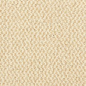 Pattern Fleece Beige/Tan Carpet