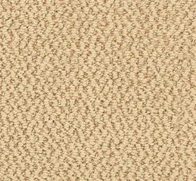 Pattern Colony Beige/Tan Carpet