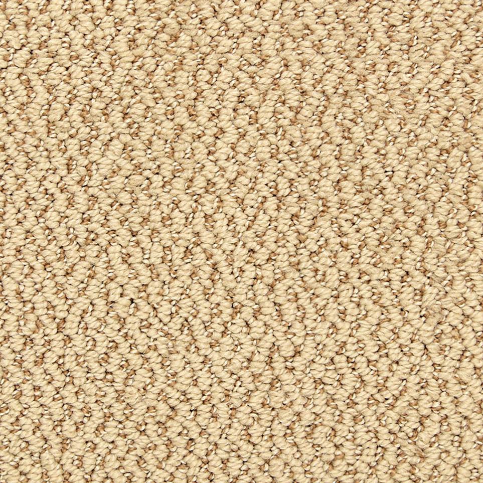 Pattern Colony  Carpet