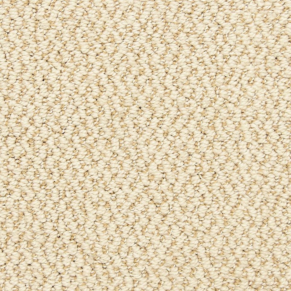 Pattern Suitable Beige/Tan Carpet